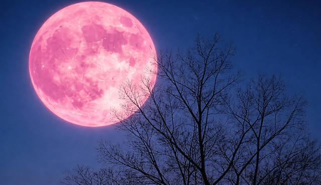 Sotto la luna rosa di primavera: una camminata tra silenzio, natura e condivisione