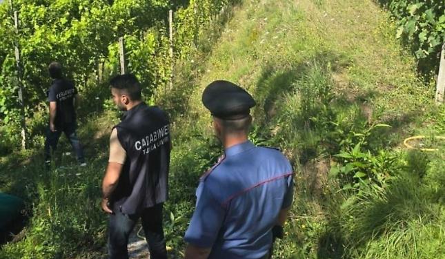 Lavoro nero e irregolarità nei campi: 7 aziende su 10 sotto sanzione in Granda