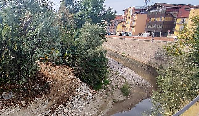 torrente ellero