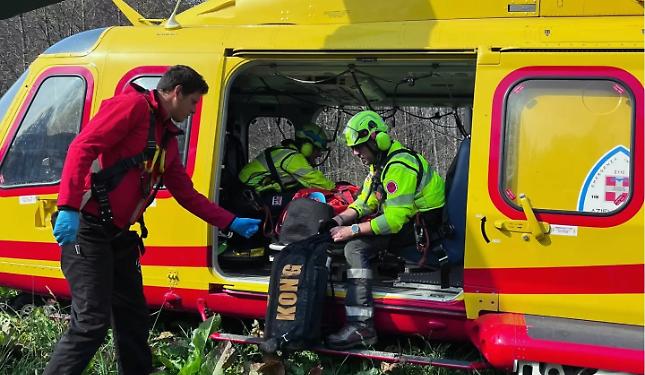 Schiacciato da una pianta nei boschi: interviene l&rsquo;elisoccorso