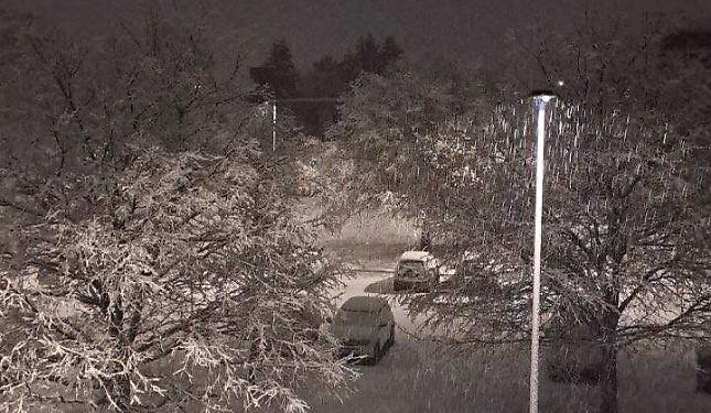 Alberi caduti e pullman di traverso: il Cuneese sotto la neve