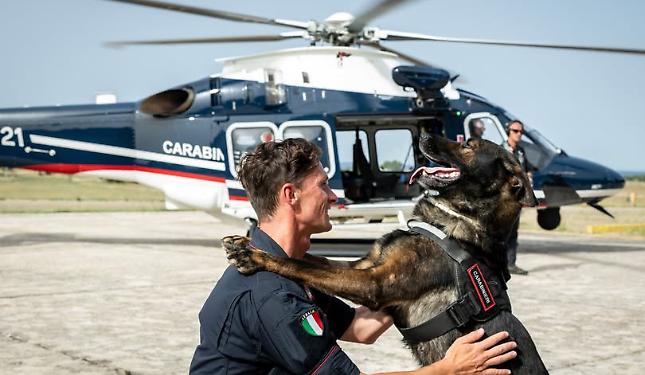 Il cane "Berla" fiuta e scova la droga: arrestate tre persone