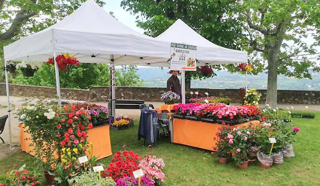 Il centro storico si trasformer&agrave; in un vivaio a cielo aperto