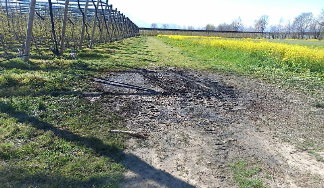 Cadavere nell'auto in fiamme, la famiglia di Amalia Bergalla: &laquo;Nessuna prova scientifica che il corpo sia il suo&raquo;