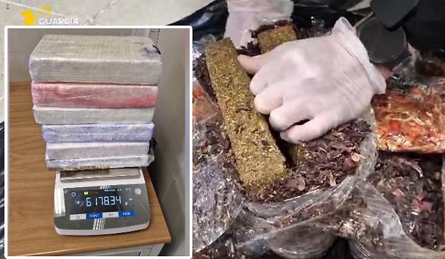 Valigia piena di cocaina e metanfetamine "nascoste" sotto le spezie e profumi per ingannare il cane