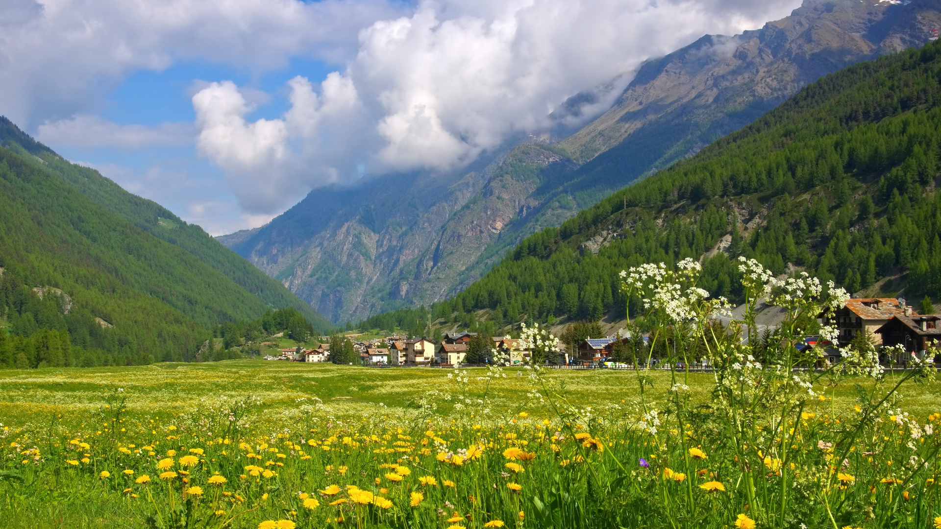 viaggio Itur Monregaltour Italia