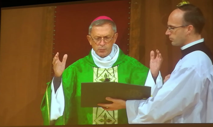 Mons. Egidio Miragoli ha presieduto la Messa internazionale a Lourdes